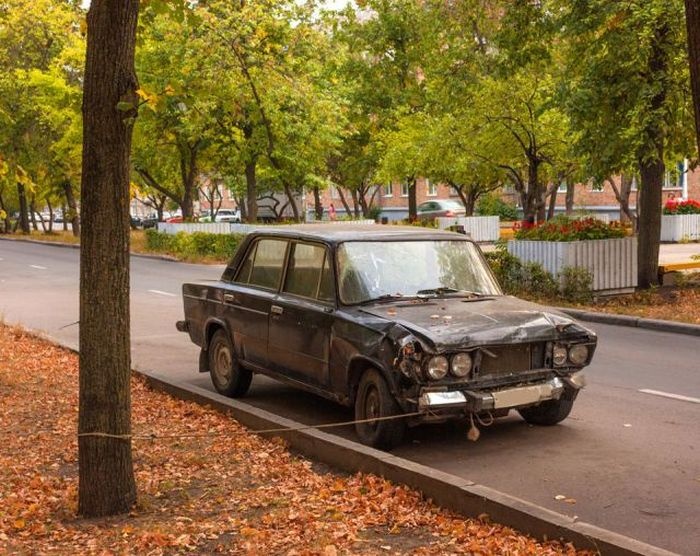 28 интересных кадров 11.10.2014