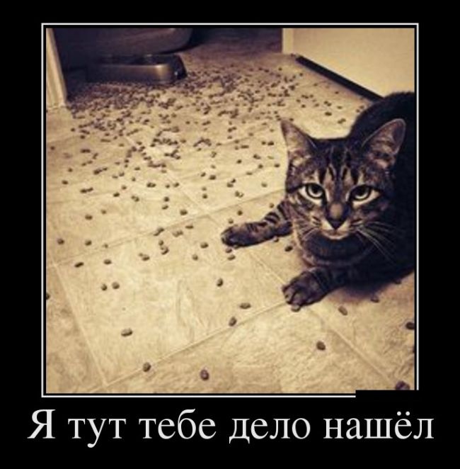 Демотиваторы 13.10.2014 (30 фото)