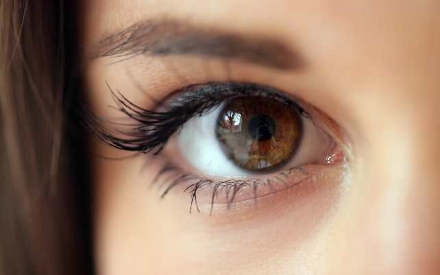 20 невероятных фактов о глазах и зрении (21 фото)