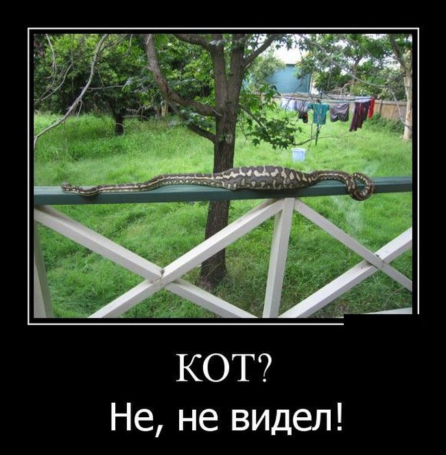 Демотиваторы 14.10.2014 (29 фото)