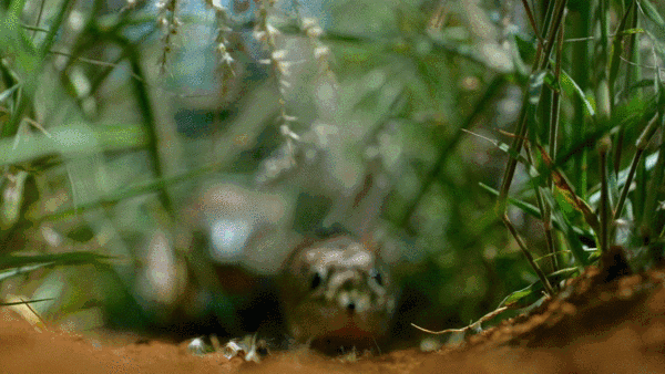 Классные гифки 14.10.2014 (25 гифок)