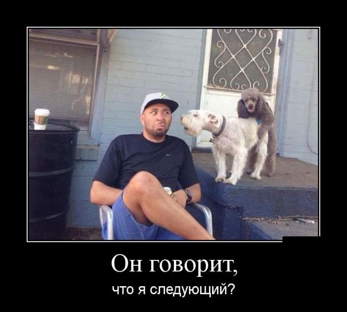 Демотиваторы 14.10.2014 (29 фото)