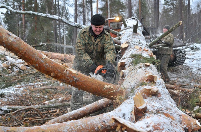 10 профессий, которые запрещены российским женщинам (11 фото)