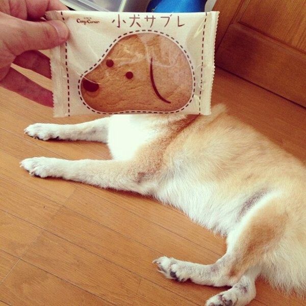 На эти снимки нужно взглянуть дважды (23 фото)