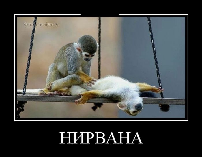 Демотиваторы 19.10.2014 (30 фото)