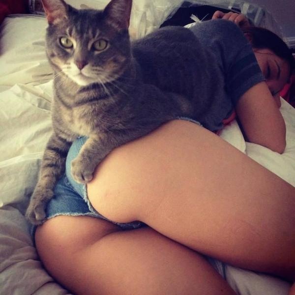 Девушкам идут шортики (19 фото)