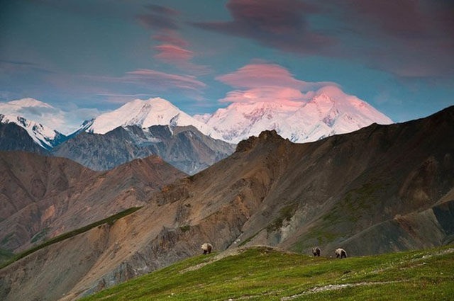 Больше, чем пpосто фото (39 фото)