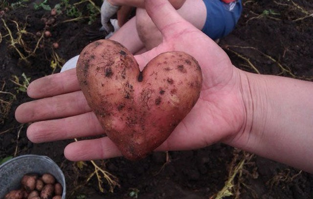 Больше, чем пpосто фото (39 фото)