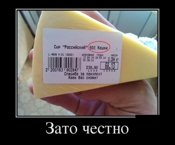 Демотиваторы 27.10.2014 (28 фото)