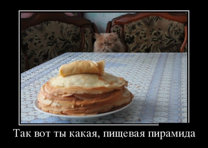 Демотиваторы 27.10.2014 (28 фото)