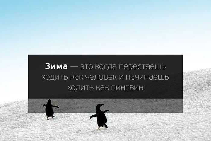 Веселые картинки 28.10.2014 (40 фото)