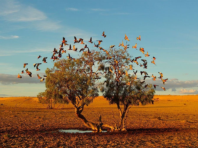 Лучшие фотографии National Geographic октября 2014 (23 фото)