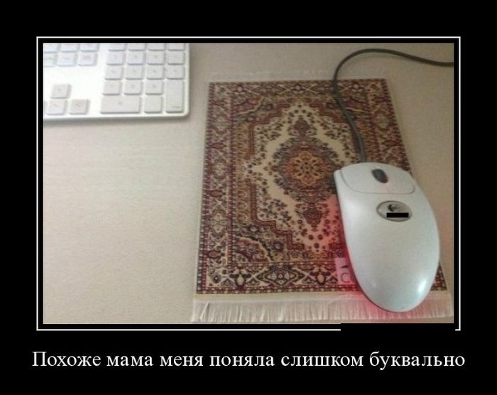 Демотиваторы 29.10.2014 (30 фото)