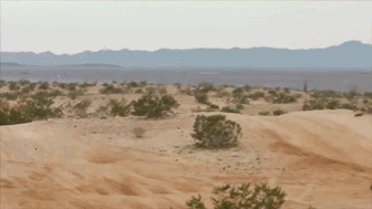 Классные гифки 29.10.2014 (25 гифок)