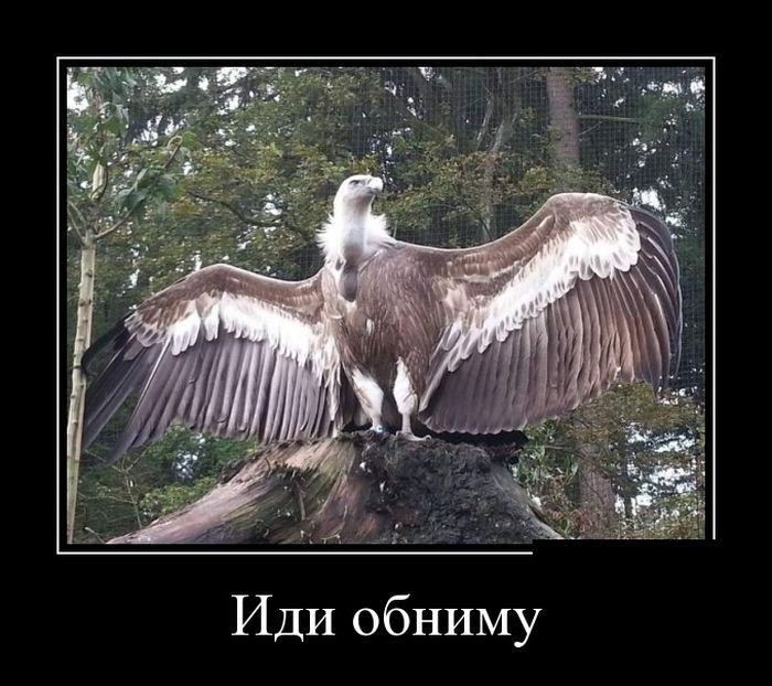 Демотиваторы 29.10.2014 (30 фото)