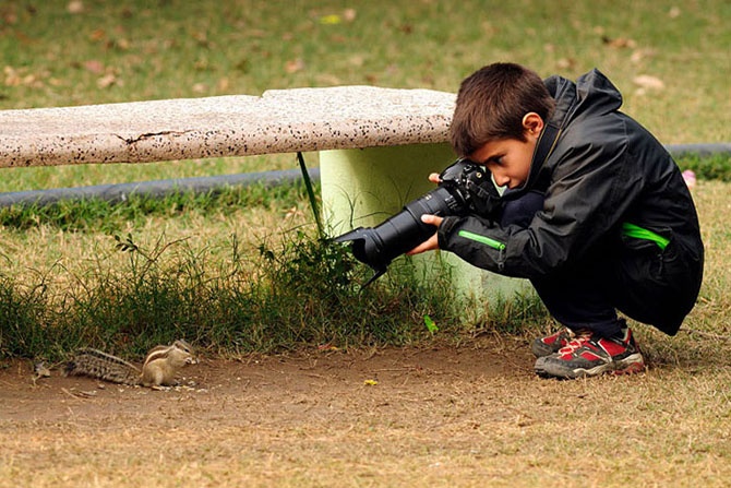 Кто стал победителем конкурса Young Wildlife Photographer 2014 (15 фото)