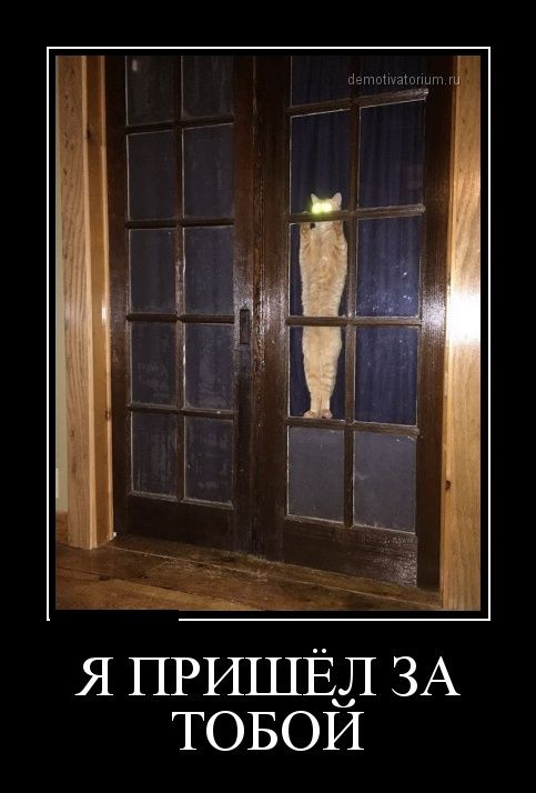 Демотиваторы 10.11.2014 (30 фото)