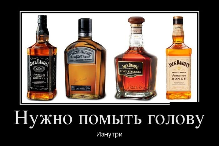 Демотиваторы 10.11.2014 (30 фото)