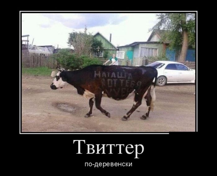 Демотиваторы 10.11.2014 (30 фото)