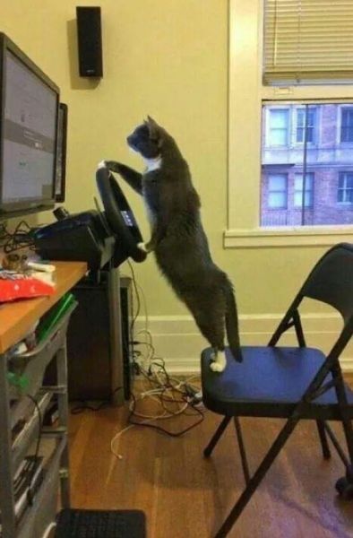 25 креативных снимков 10.11.2014