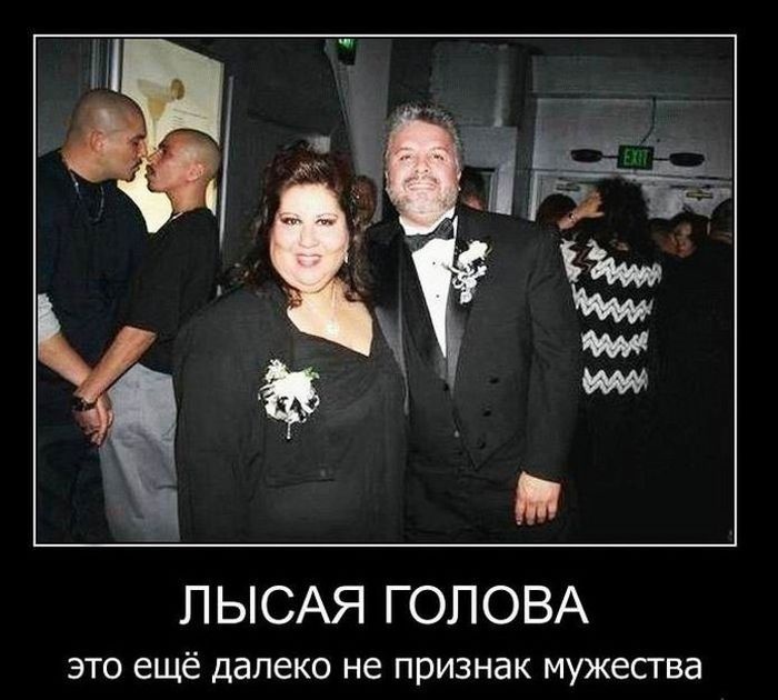 Демотиваторы 11.11.2014 (30 фото)