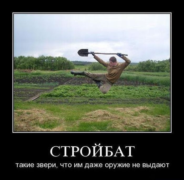 Демотиваторы 11.11.2014 (30 фото)