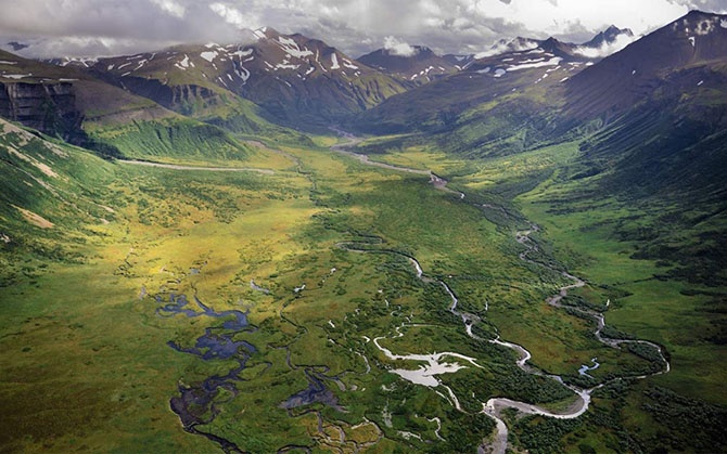 Удивительные фотографии дикой природы Аляски (12 фото)