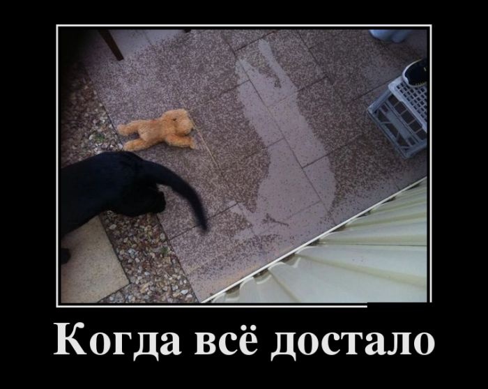 Демотиваторы 11.11.2014 (30 фото)