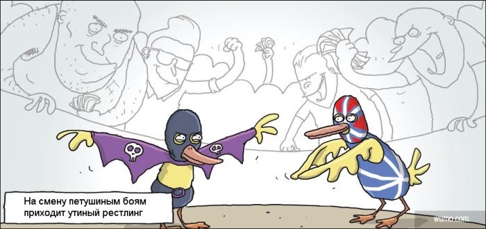 Смешные комиксы 11.11.2014 (20 картинок)