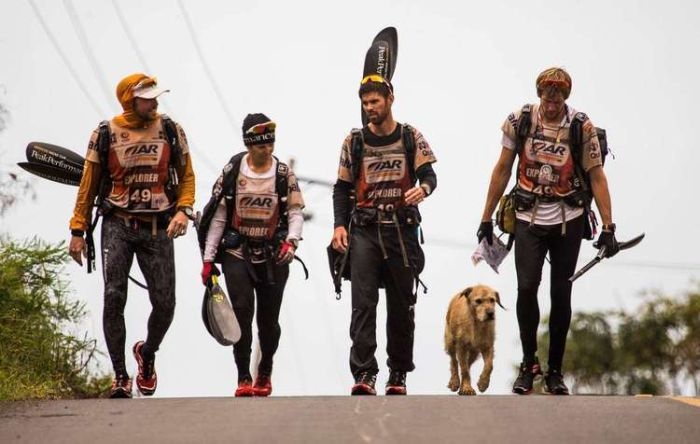 Бездомная собака присоединилась к спортсменам сборной Швеции по мультиспорту (20 фото)