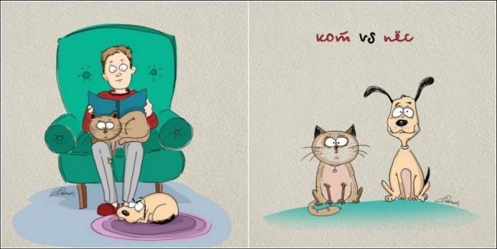 Отличия между собакой и кошкой от художника BirdBorn (6 картинок)