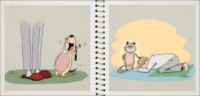 Отличия между собакой и кошкой от художника BirdBorn (6 картинок)