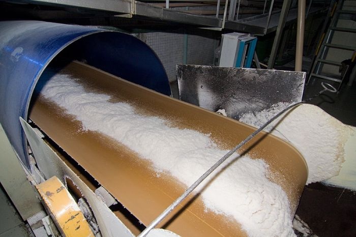 Фоторепортаж с завода по переработке сахарной свеклы (29 фото)