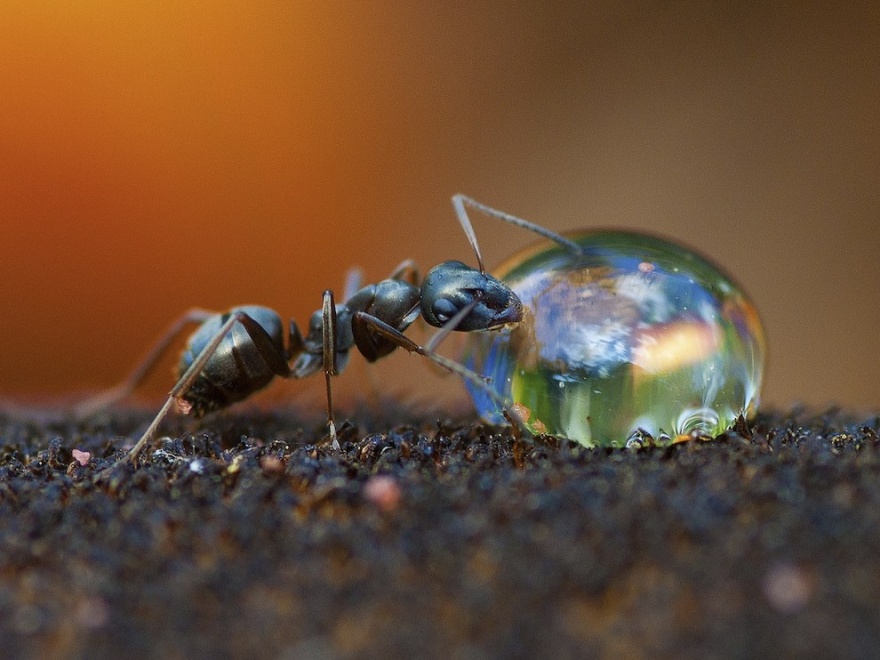 Лучшие фотографии National Geographic ноября 2014 (22 фото)