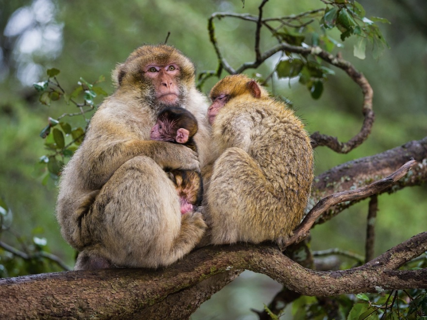 Лучшие фотографии National Geographic ноября 2014 (22 фото)