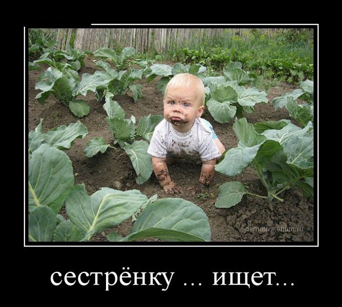 Демотиваторы 01.12.2014 (30 фото)