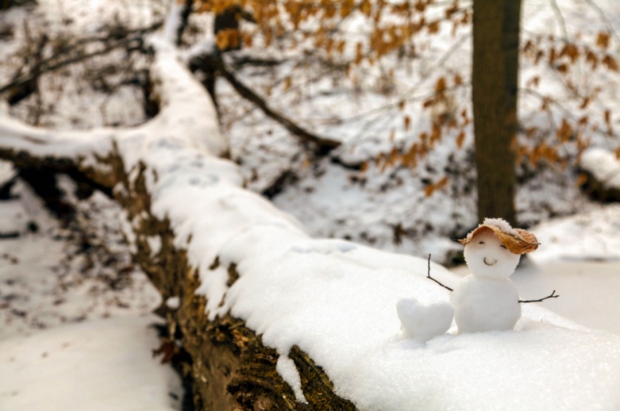 Что символизировал снеговик в прошлом (22 фото)