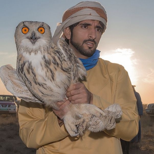 Фото из инстаграм 32-летнего принца Дубая Хамдана бин Мохаммеда (43 фото)