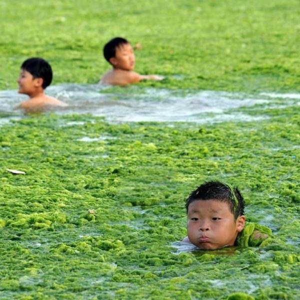 Самые поразительные природные явления (8 фото)