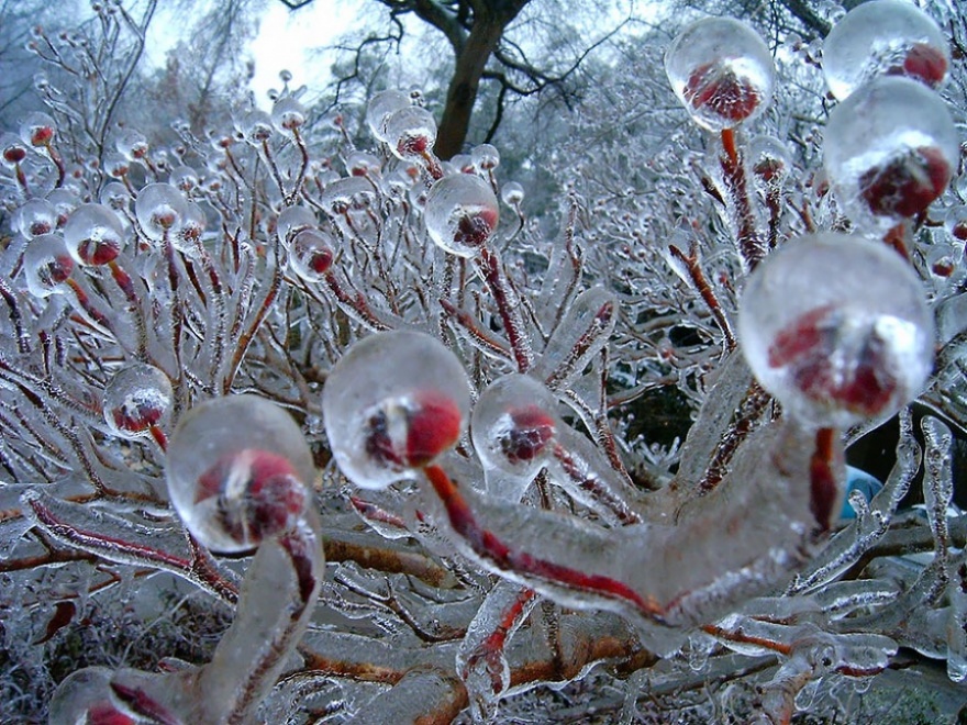 Природа, когда в дело вступила зима (24 фото)