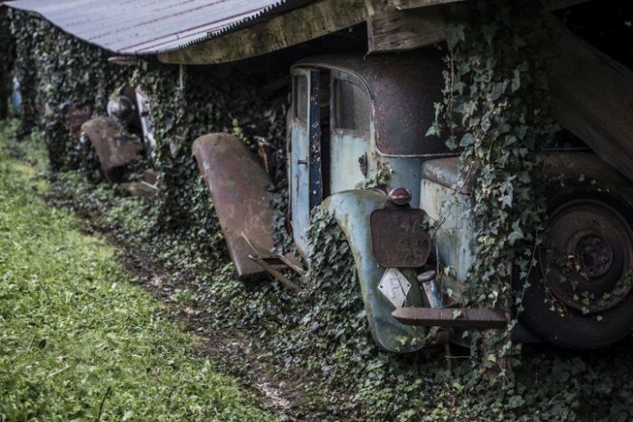 Франция: многомиллионная коллекция авто в заброшенных ангарах (21 фото)