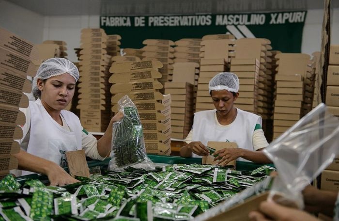 Как производят презервативы в лесах Бразилии (19 фото)