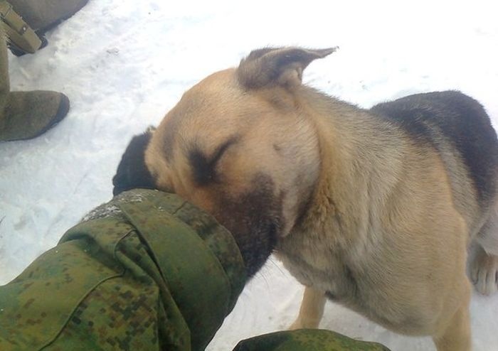 29 оригинальных фотографий 10.12.2014