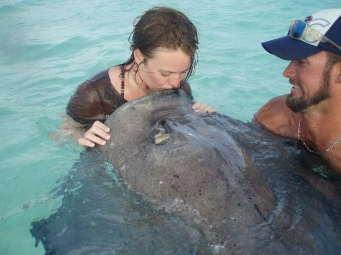 29 оригинальных фотографий 10.12.2014