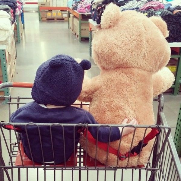 29 оригинальных фотографий 10.12.2014