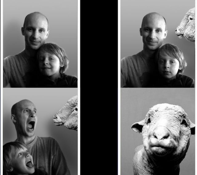 Приколы в картинках и фото 12.12.2014 (20 фото)