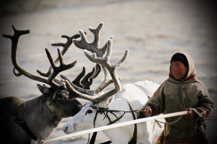 Лучшее с АdMe Photo Awards 2014 за неделю (34 фото)