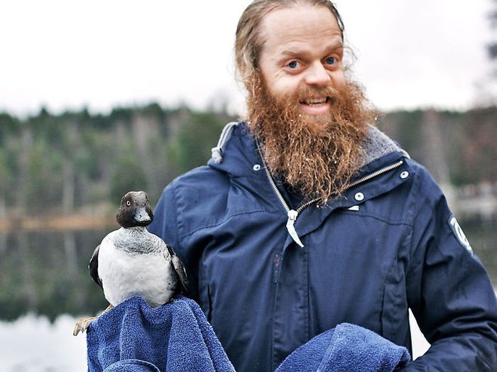 Норвегия: мужчина залез в ледяную воду ради спасения утки (4 фото)