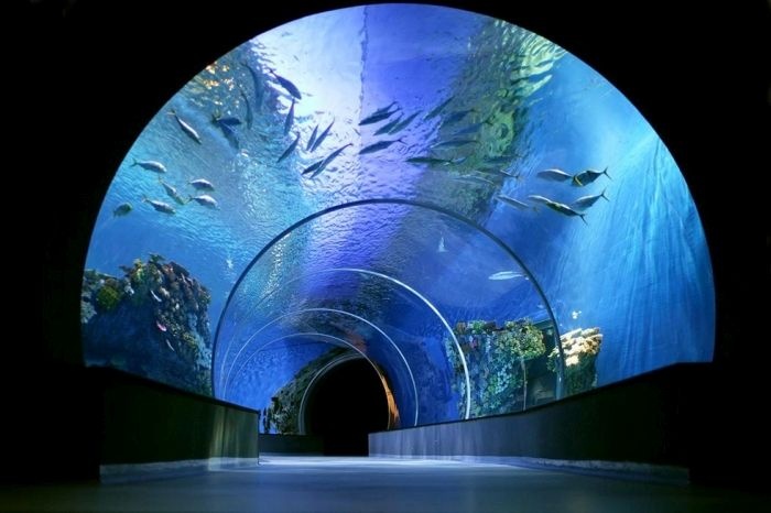 Дания: уникальный океанариум «Голубая планета» - дом для 20 000 рыб (17 фото)
