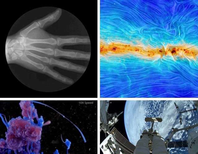 Самые удивительные научные изображения 2014 года (26 фото + 22 гифки)